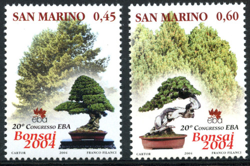 San marino 2004 - 2004, bonsai